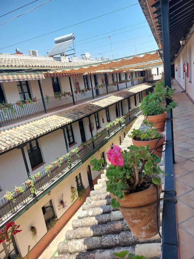 Patio Cartuja Apartman Sevilla Kültér fotó